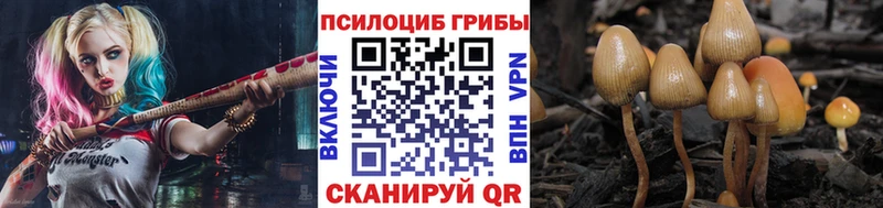 mega ССЫЛКА  Чернушка  Галлюциногенные грибы ЛСД 
